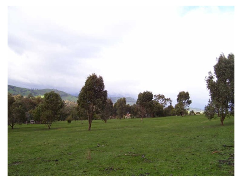 21 Acheron Road, Alexandra VIC 3714