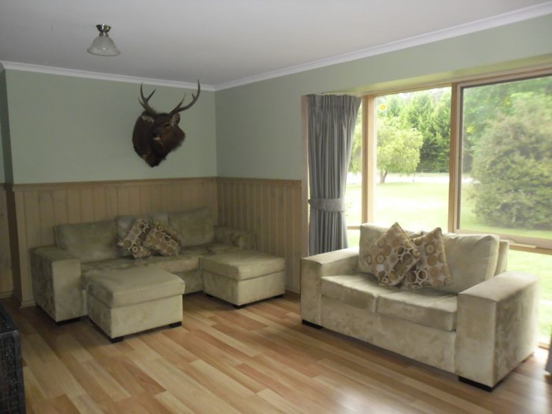 19 Mareeba Avenue, Buxton VIC 3711