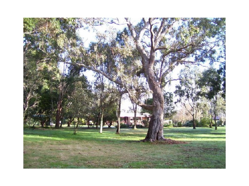 36 Southam Drive, Taggerty VIC 3714