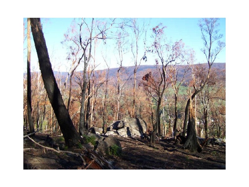 55 Ismay Wynd, Buxton VIC 3711