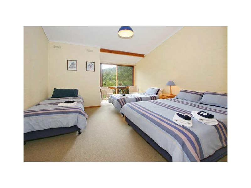 29 Woods Point Road, Marysville VIC 3779