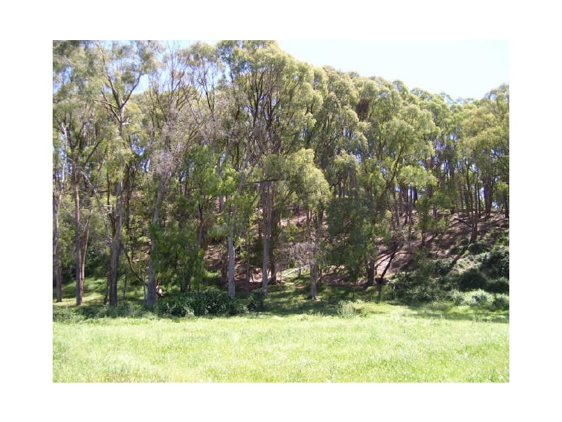 Lot 4/2557 Maroondah Highway, Buxton VIC 3711