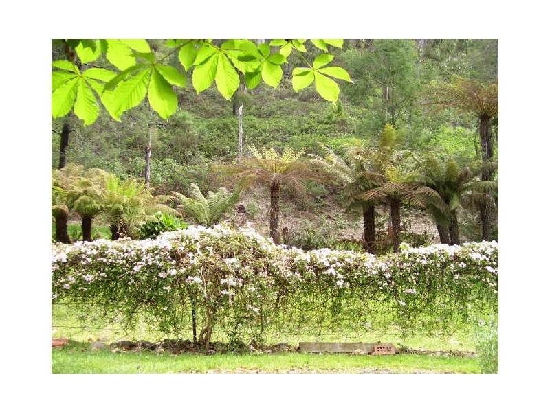 754 Buxton-Marysville Road, Marysville VIC 3779