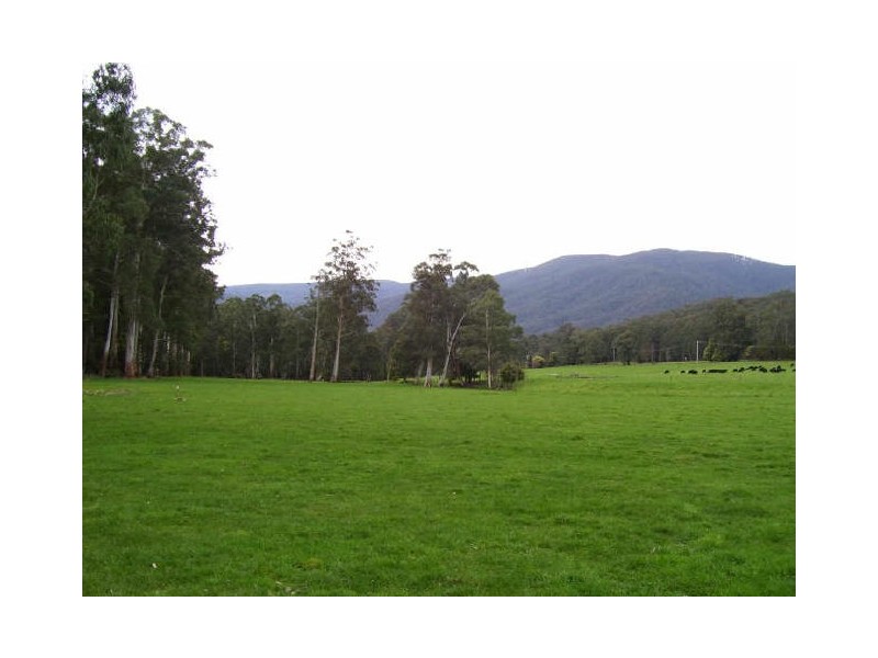 Lot 31/32 Marysville-Buxton Road, Marysville VIC 3779