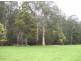 Lot 31/32 Marysville-Buxton Road, Marysville VIC 3779