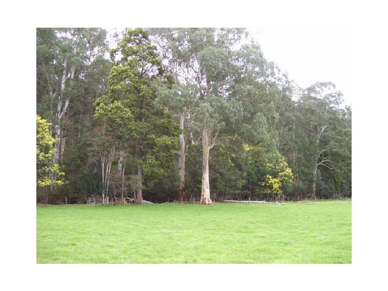 Lot 31/32 Marysville-Buxton Road, Marysville VIC 3779