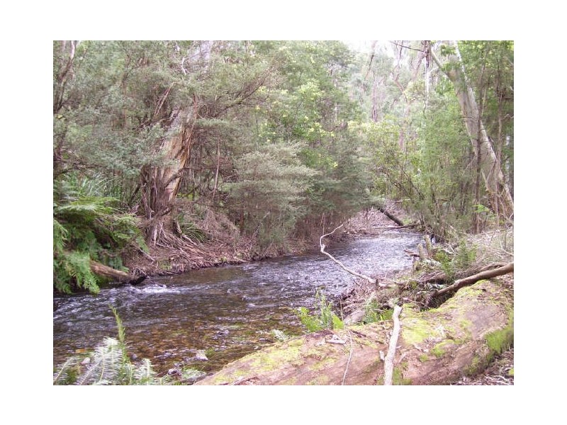 Lot 31/32 Marysville-Buxton Road, Marysville VIC 3779