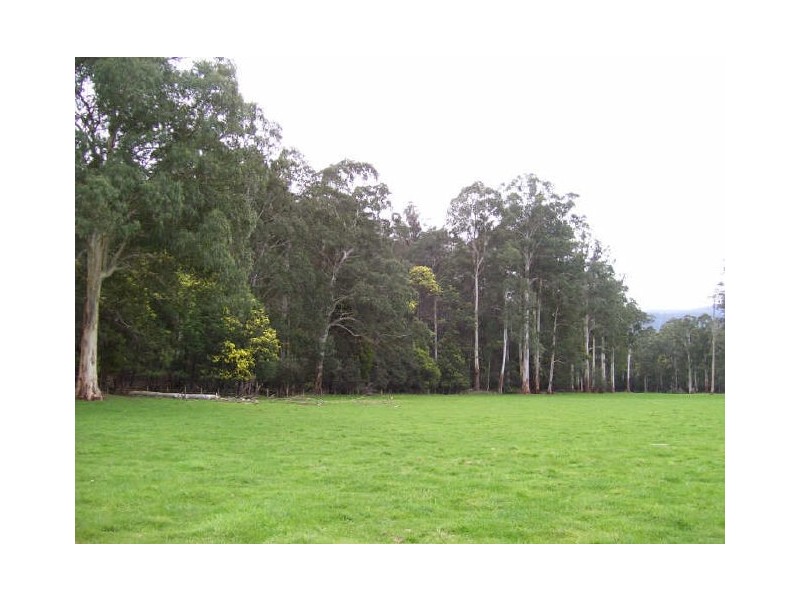 Lot 31/32 Marysville-Buxton Road, Marysville VIC 3779