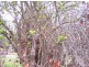 52 Sunds Road, Marysville VIC 3779
