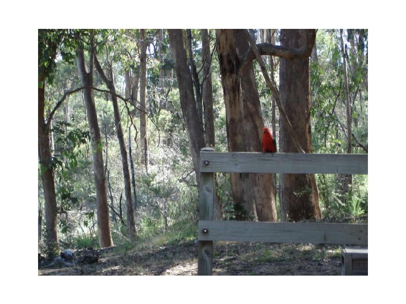 2050 Maintongoon Road, Alexandra VIC 3714