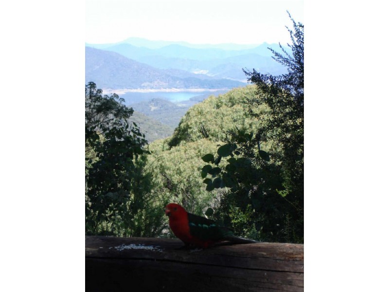 2050 Maintongoon Road, Alexandra VIC 3714