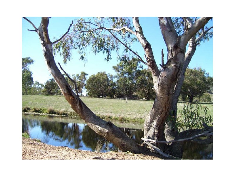 1074 Spring Creek Road, Alexandra VIC 3714