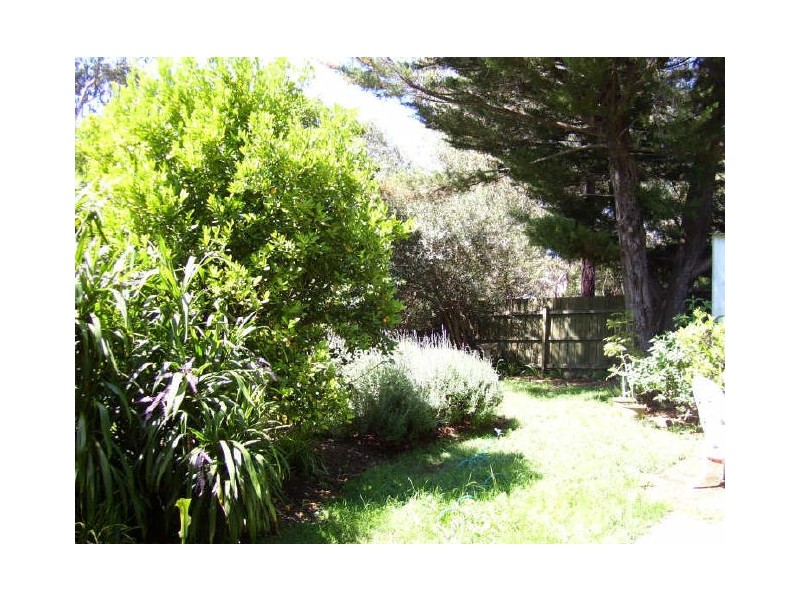 11 Rose Street, Alexandra VIC 3714
