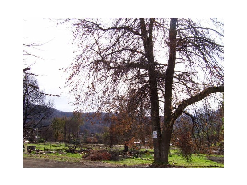 36 Sedgwick Street, Marysville VIC 3779