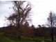 36 Sedgwick Street, Marysville VIC 3779