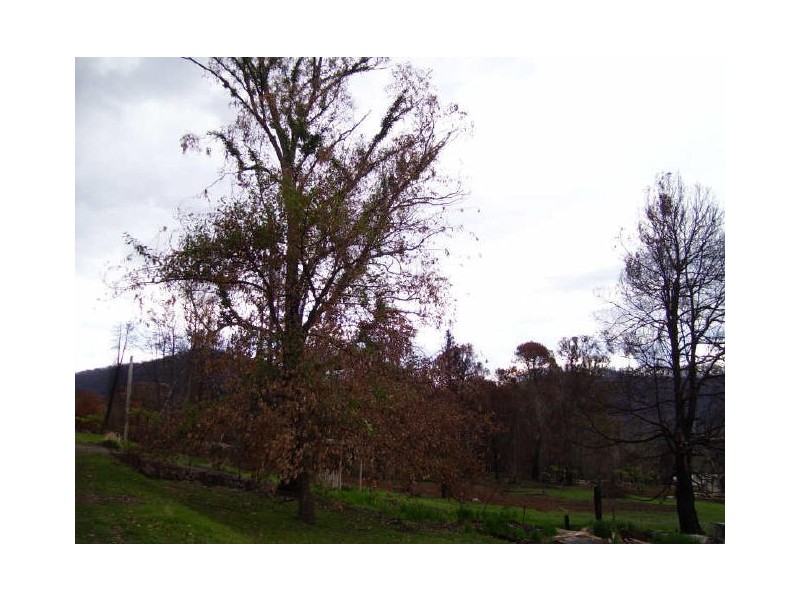 36 Sedgwick Street, Marysville VIC 3779