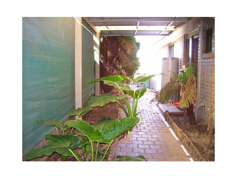 80 Myrtle Street, Alexandra VIC 3714