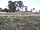 21 Oswald Drive, Alexandra VIC 3714