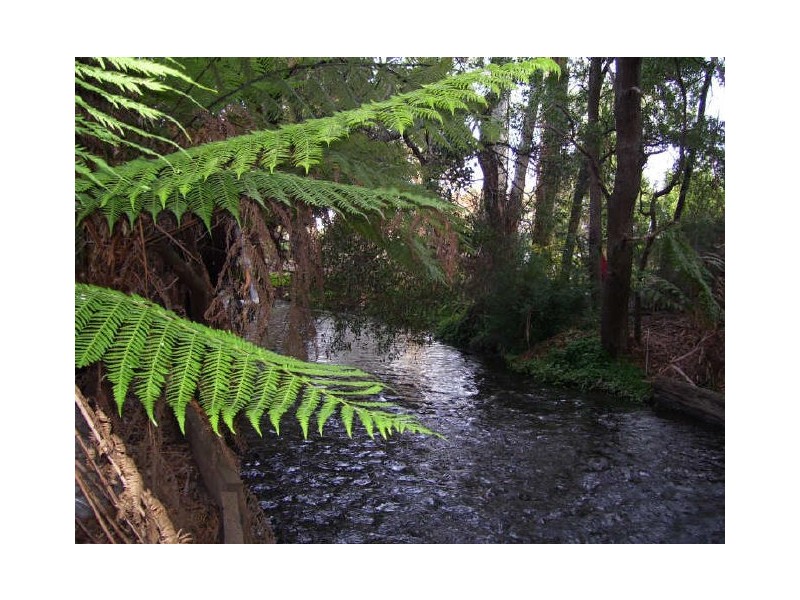 1 Ballina Court, Buxton VIC 3711