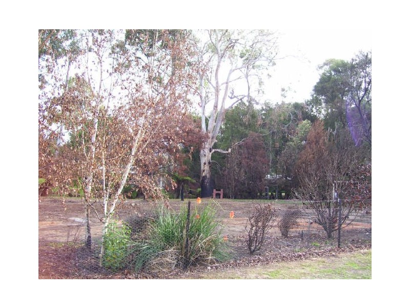 1 Ballina Court, Buxton VIC 3711