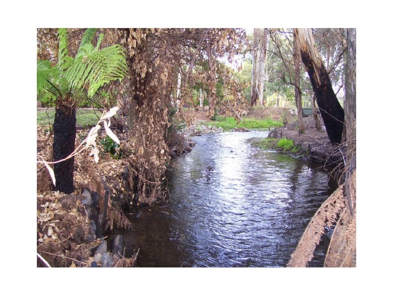 1 Ballina Court, Buxton VIC 3711