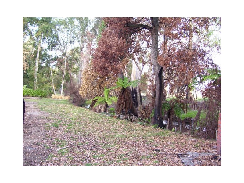 1 Ballina Court, Buxton VIC 3711