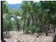 230 Left Arm Road, Taylor Bay VIC 3713