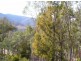 230 Left Arm Road, Taylor Bay VIC 3713
