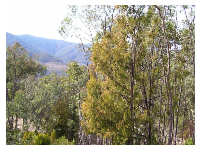 230 Left Arm Road, Taylor Bay VIC 3713