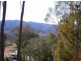 230 Left Arm Road, Taylor Bay VIC 3713