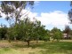 5026 Maroondah Highway, Alexandra VIC 3714