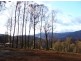 77 Kings Road, Marysville VIC 3779