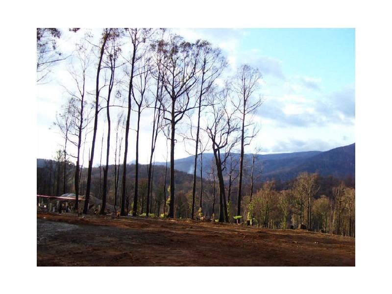 77 Kings Road, Marysville VIC 3779