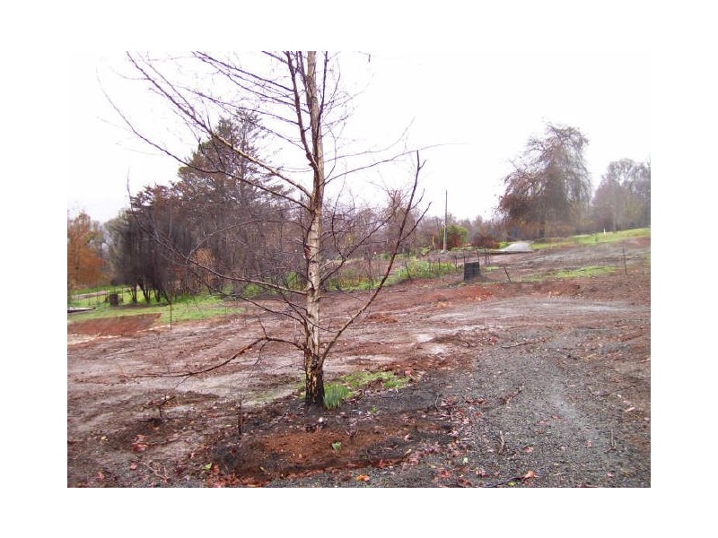 59 & 61 Murchison Street, Marysville VIC 3779