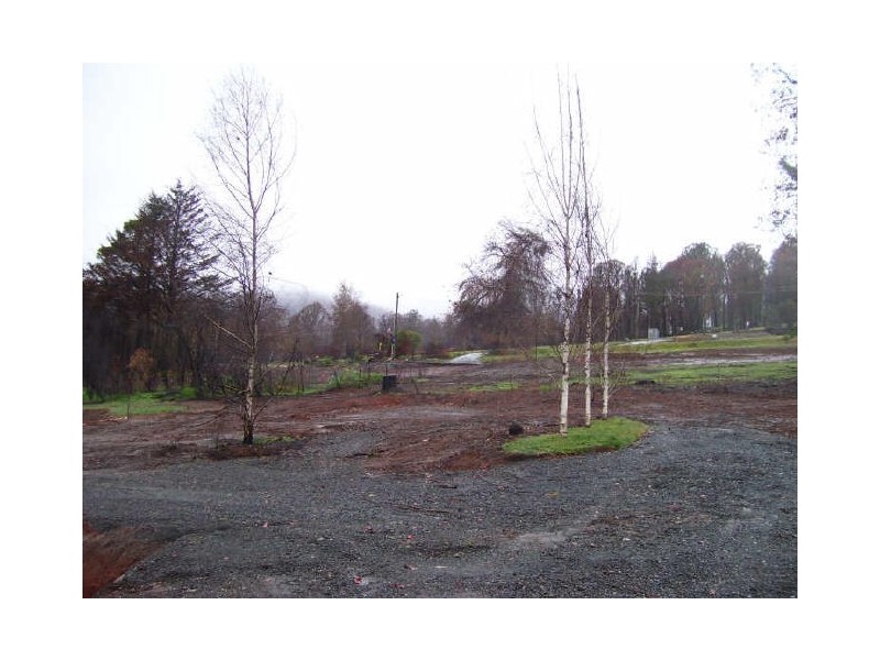 59 & 61 Murchison Street, Marysville VIC 3779