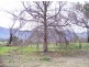 2509 Maroondah Highway, Buxton VIC 3711