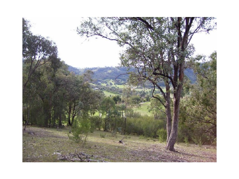 199 Ti -Tree Drive, Eildon VIC 3713