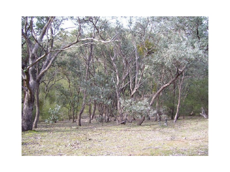 199 Ti -Tree Drive, Eildon VIC 3713