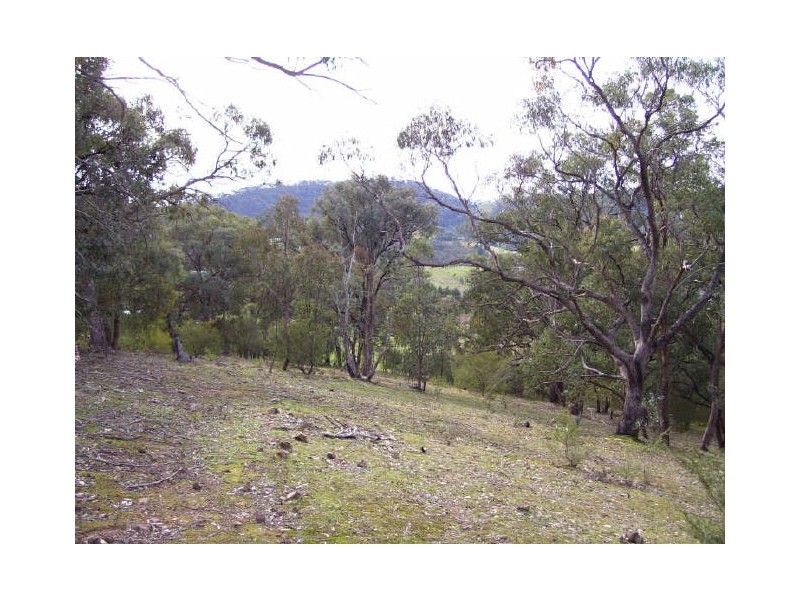199 Ti -Tree Drive, Eildon VIC 3713