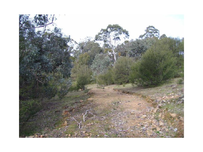 199 Ti -Tree Drive, Eildon VIC 3713