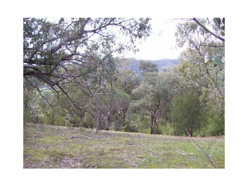 199 Ti -Tree Drive, Eildon VIC 3713