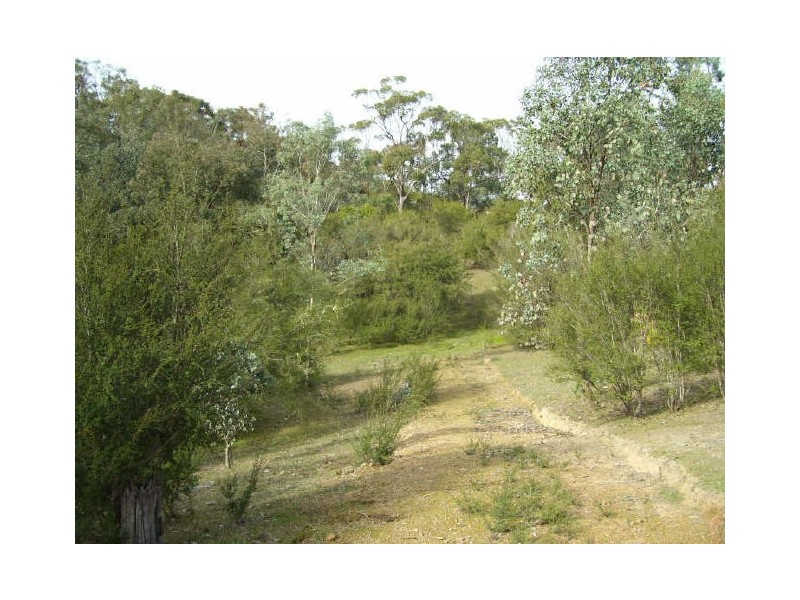 199 Ti -Tree Drive, Eildon VIC 3713