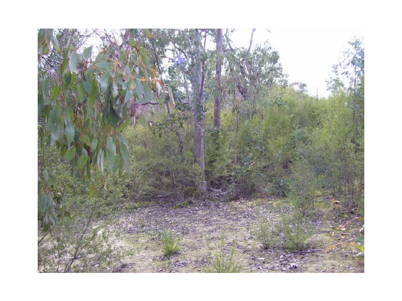 199 Ti -Tree Drive, Eildon VIC 3713