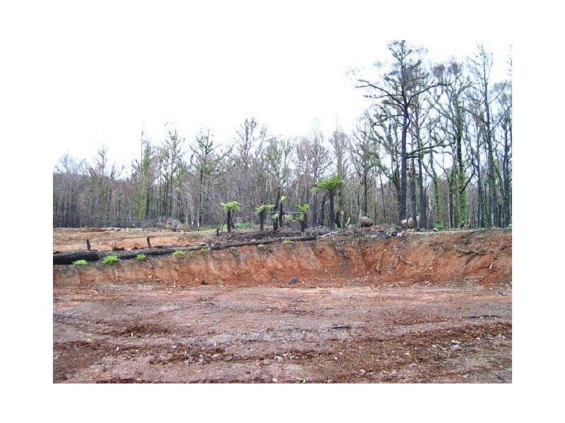 61 Kings Road, Marysville VIC 3779