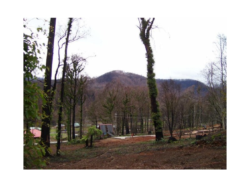 61 Kings Road, Marysville VIC 3779