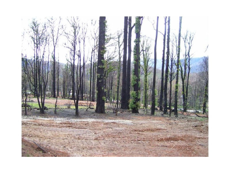 61 Kings Road, Marysville VIC 3779