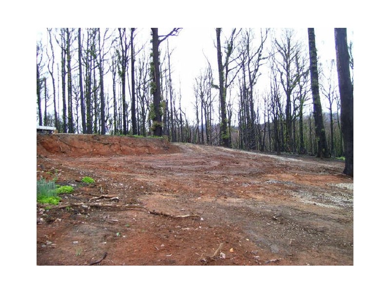 61 Kings Road, Marysville VIC 3779