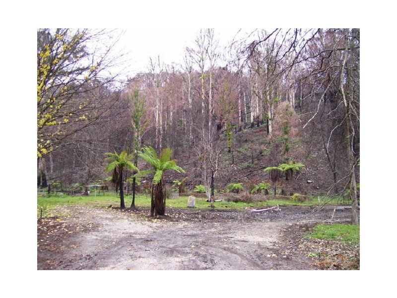 754 Buxton-Marysville Road, Marysville VIC 3779
