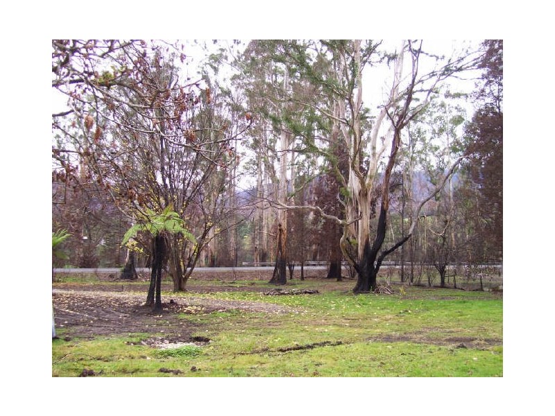 754 Buxton-Marysville Road, Marysville VIC 3779