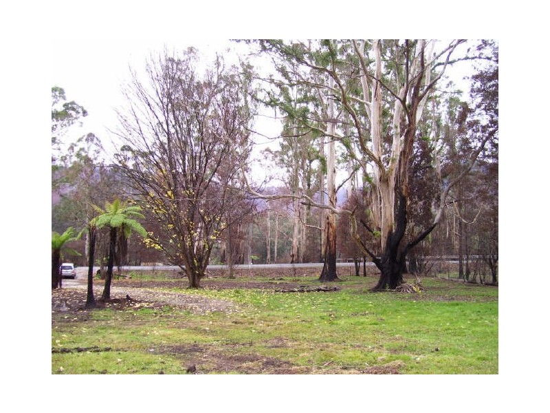 754 Buxton-Marysville Road, Marysville VIC 3779